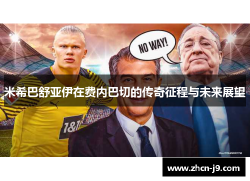 米希巴舒亚伊在费内巴切的传奇征程与未来展望