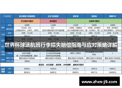 世界杯球迷航班行李损失赔偿指南与应对策略详解