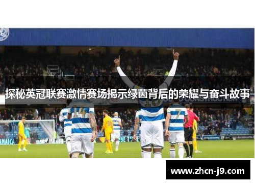 探秘英冠联赛激情赛场揭示绿茵背后的荣耀与奋斗故事